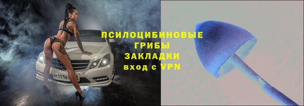 эйфоретик Аркадак