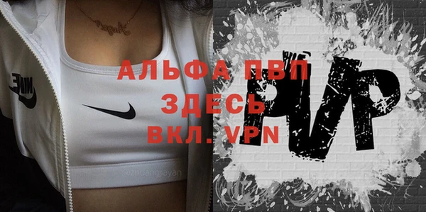 эйфоретик Аркадак