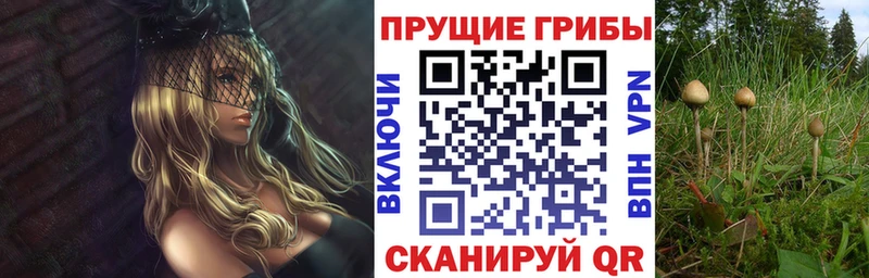 Галлюциногенные грибы Psilocybine cubensis Похвистнево